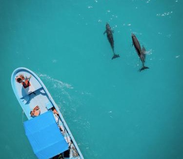 Punta Allen Cabin | Hotel Cielo y Selva