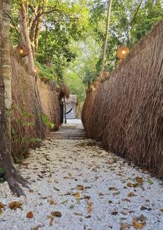Tulum House | Hotel Kin Tulum II