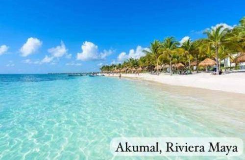 Akumal Hotel | Hotel