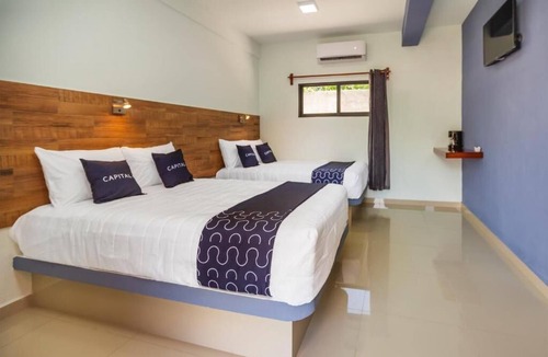 Centro Hotel | HOTEL PEJELAGARTO