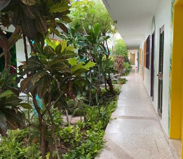 Colonia Centro Hotel | Hotel Posada Edem
