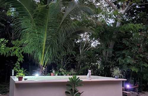 Solferino House | House in the jungle 2 BEDROOMS, EQUIPPED KITCHEN & ALBERCA