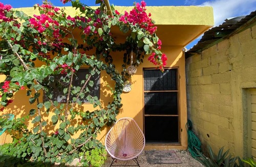 Bacalar Apartment | Jungla Bacalar/ Casa Jaguar