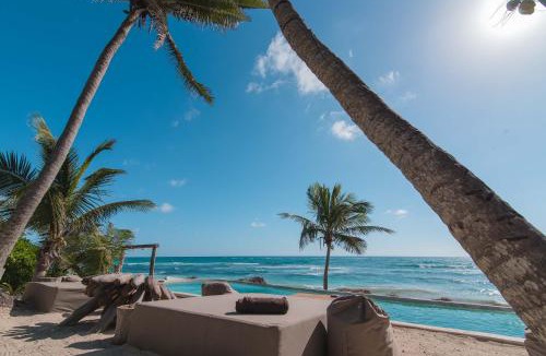 Playa Paraiso Apartment | Jungle Guardian - Rooftop Pool & Beach Club in Zona Hotelera Tulum