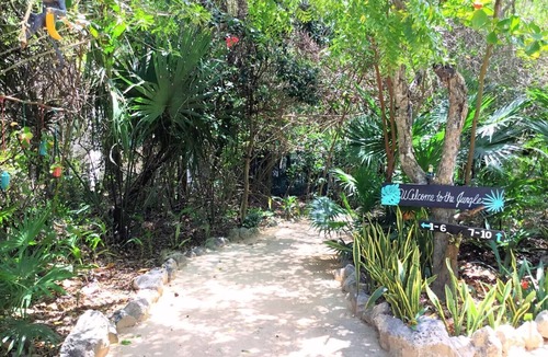 Akumal House | King of the Jungle!nn