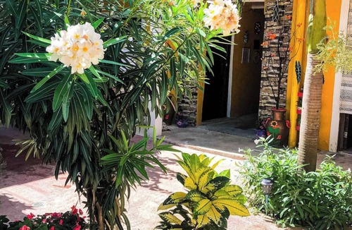 Luis Donaldo Colosio House | La Adelita a Solo 5minutos Caminado a la Playa y 5ta Avenida