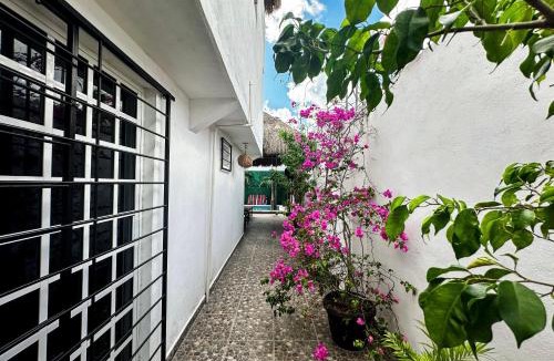 Colonia Adolfo Lopez Mateos Hotel | La Perle Noire - Dive Hotel Cozumel