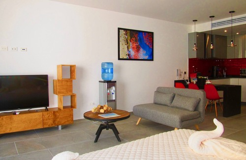 Luis Donaldo Colosio Condo | Luxury Fifth Avenue Studio with Stunning Roof Top Pool