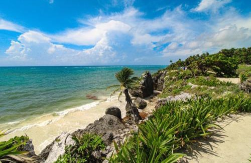 Tulum City Center Hotel | Menesse 102 at Av Coba