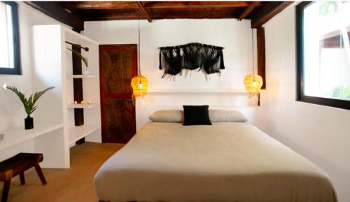 Zona Hotelera Hotel | Mohave Jungle Rooms