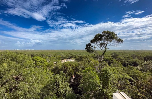 Puerto Morelos House | NEW - Luxurious home with modern amenities surrounded by peace & nature.