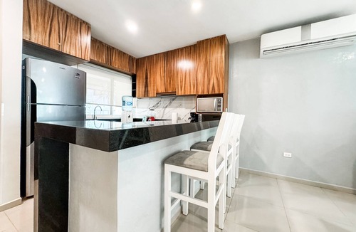 Gonzalo Guerrero Apartment | Nice Decor - Very Big * Gym *Jacuzzi * steps from 5th av & mamita's beach