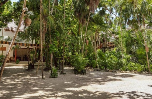 Zona Hotelera Cabin | Oceanfront Suite