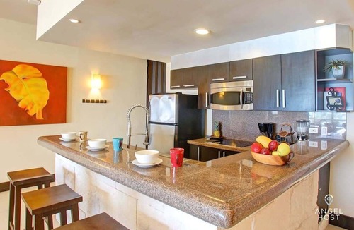 Downtown Condo | Oceanview Rooftop Private Pool, Steps to Mamitas