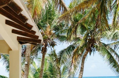 Zona Hotelera Bed & Breakfast | Olas Tulum