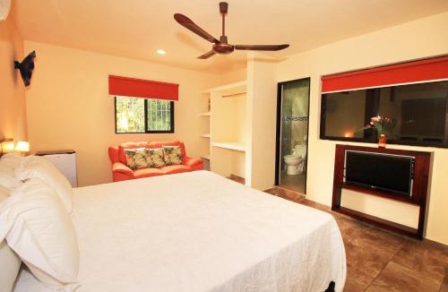 Centro Hotel | Papagayo Hotel Boutique