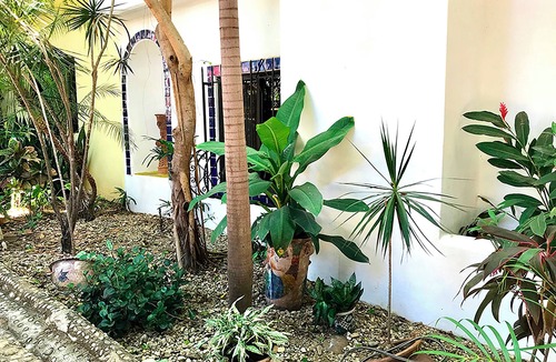 Hidalgo House | Perfect 3 bedroom 2 bathroom house with swimming pool in Puerto Escondido