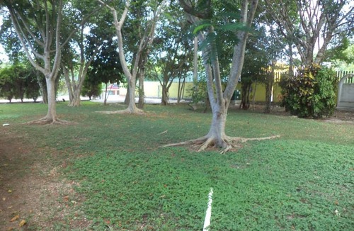 Alfredo V. Bonfil Resort | Private room ∙ 3 guests