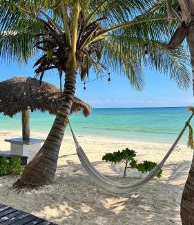 El Placer House | Pronoia Casa de Playa
