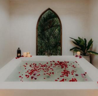 Zona Hotelera Hotel | Sacred Hideaways