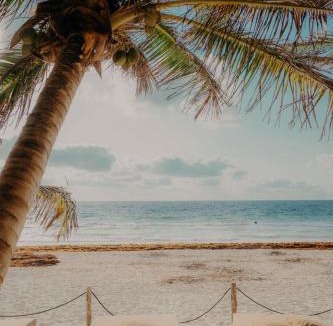 Zona Hotelera Hotel | Sacred Hideaways