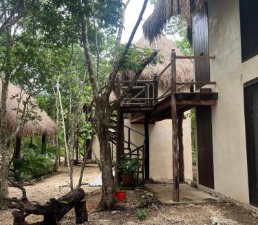Tulum Other | Sak lool Tulum