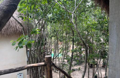Ek Balam Village Hotel | Sak