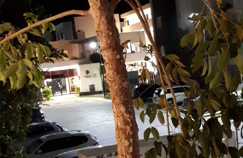 Puerto Juarez Apartment | Selvanova VELAS APARTMENTS