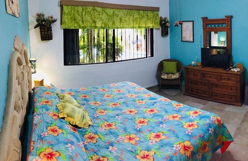 Downtown Condo | Spacious 1 bedroom 300 m from Mamitas Beach