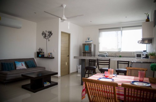 Ejidal Condo | Spacious & breezy 1 bedroom penthouse with rooftop and grill