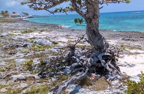 Cozumel Apartment | Studio Kin. Close to Beaches, diving and Island Attractions. Paradise found.