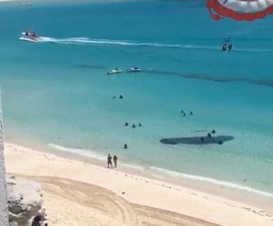 Punta Cancun Apartment | Studio oceanfront prime location