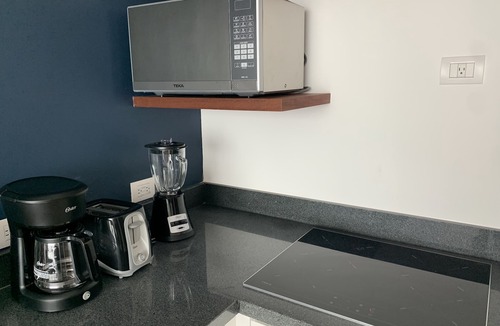 Zazil-ha Apartment | STUPENDOUS 2 BR AT 5TH AVENUE