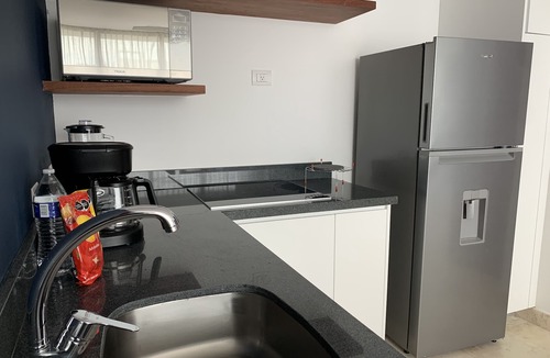 Zazil-ha Apartment | STUPENDOUS 2 BR AT 5TH AVENUE