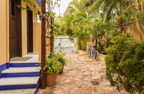 Puerto Morelos Apartment | Suite #3 / Cozy studio just steps to the beach, inc's bikes.
