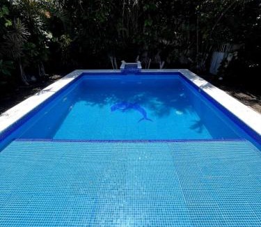 Colonia Adolfo Lopez Mateos House | Troy's House
