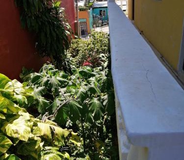 Luis Donaldo Colosio Apartment | Tucán