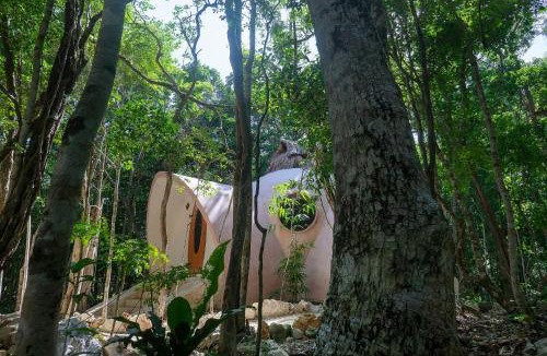 Soliman Bay Cabin | Unique Jungle Dome 2 Queen Beds