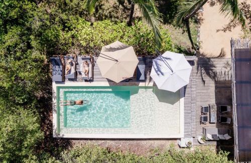 Zona Hotelera Cabin | Vida Silvestre