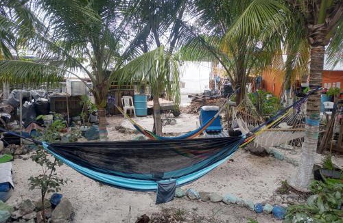 Colonia Independencia Other | VOLUNTARY & Camping