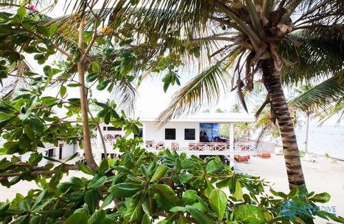 Xcalak House | Welcome To Flying Cloud Beach Hotel