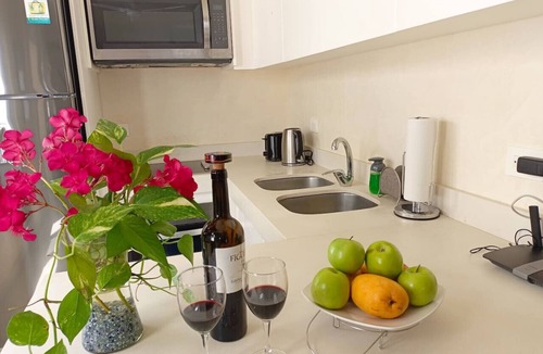 Luis Donaldo Colosio Apartment | Z29- Penthouse Downtown Playa 3 Bedrooms