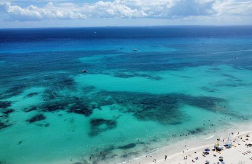 Playa del Carmen Hotel | Zulim Condo - 302