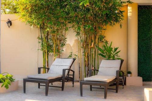 Amplia Habitación Doble 5, Alberca, Gym y Terraza in Mérida