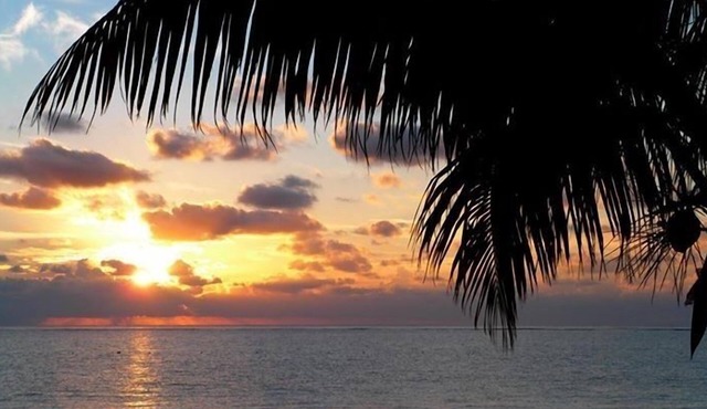 Beachfront Condo in Puerto Morelos with Pool