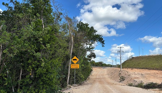 Camping and RVs Selva Maya in Reforma Agraria