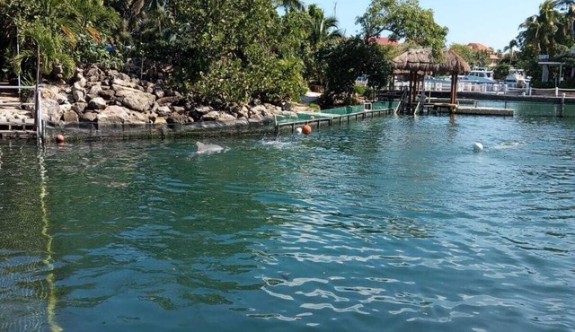 Chaánt Kay in Puerto Aventuras