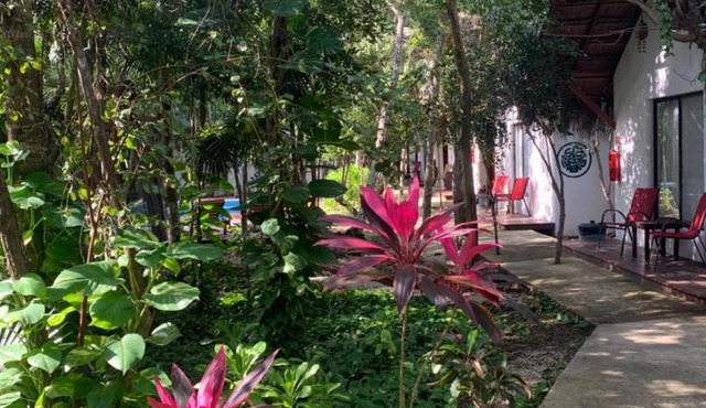 Collection O EcoVergel Hotel Boutique Spa in Tulum