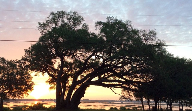 Comfortable home, quiet, scenic neighborhood, walkable street, near town & beach in St Augustine