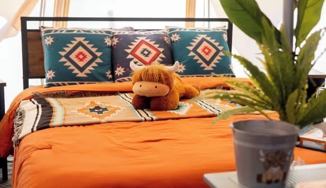Cuddly cow yurt with fluffy cows, llamas, and sheep in Thomson